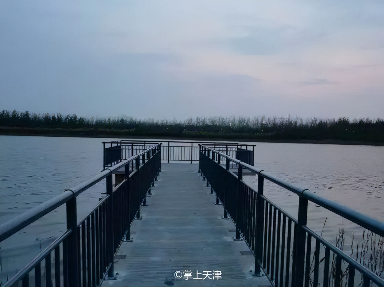 天津最好的私人公园,天津小众拍照圣地