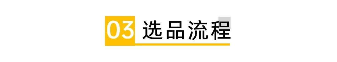 独立站的运营技巧是什么,独立站运营初期看什么数据