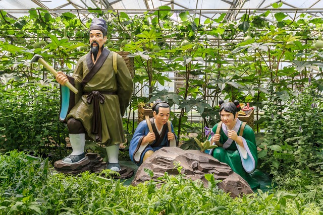 古代医药学家李时珍本草纲目,中国古代医药学内容最丰富著作