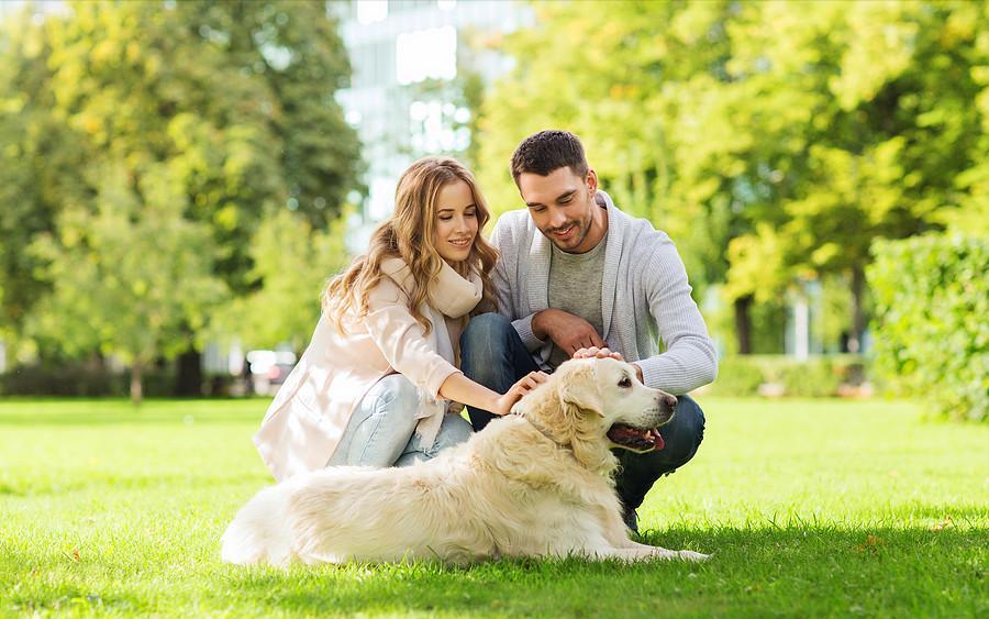 100个好听到爆的狗狗名字两个字,最近流行的狗名字