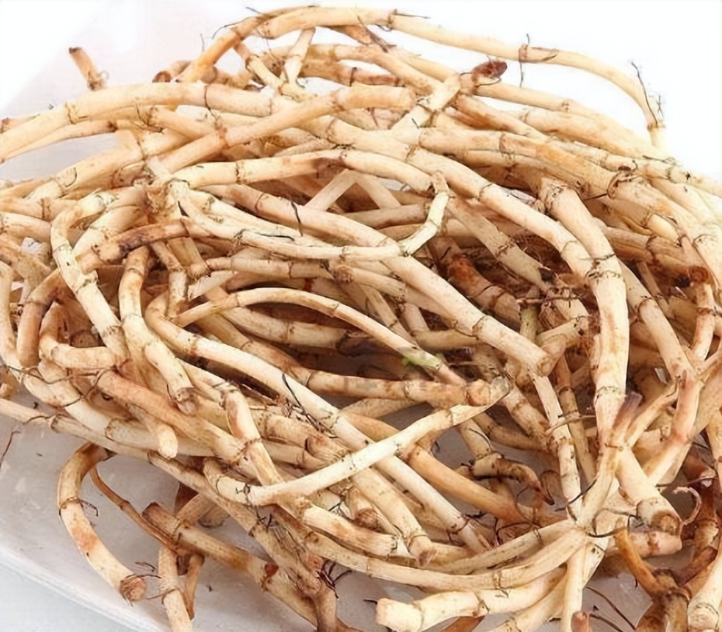 鱼腥草为什么要叫害人草,鱼腥草是害人草还是养生草