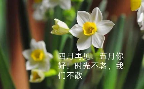 四月再见五月你好愿一切美好加倍,四月再见五月你好愿美好如约而至