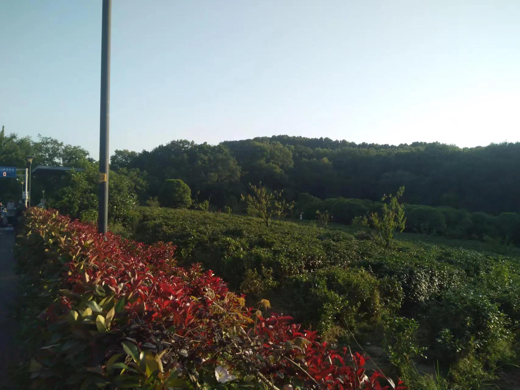 父母是孩子的最好老师,其实父母是孩子最好的老师广告