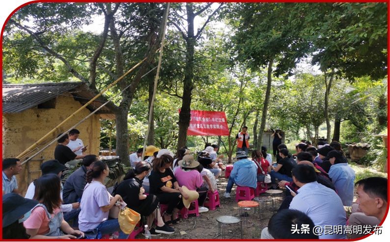 讲好荒田“农”故事铭记*党**的“浓”恩情