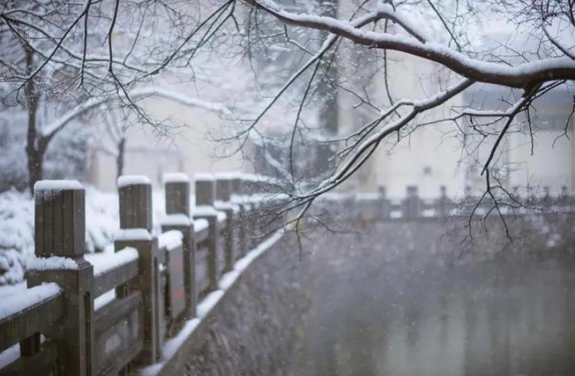 学生作品集竖版排版,学生优秀作品集卷首语