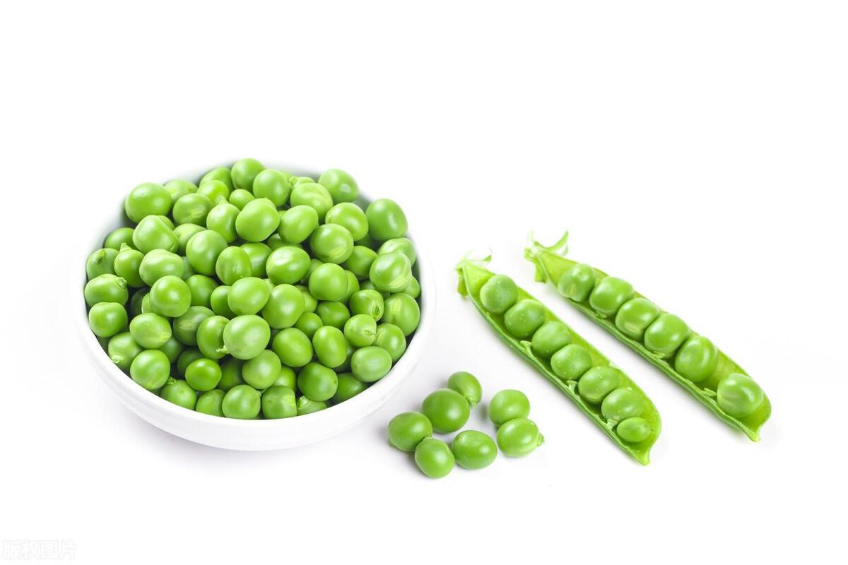 三伏天吃什么参养生,三伏天吃什么润肺