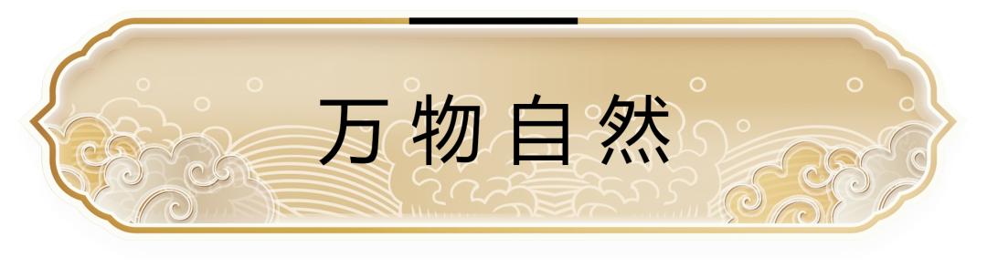 乌金丨兼蓄万物，“墨”而不语