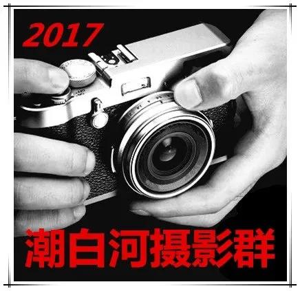 微信头像设计制作软件,qq微信头像大全