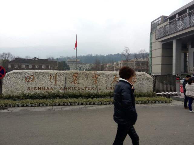 四川农业大学,这么好的211大学,为何高考并不是很受欢迎?