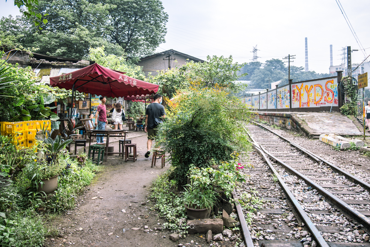 老重庆人的“网红生活”：画家资助老茶馆，大明星打卡旧书屋