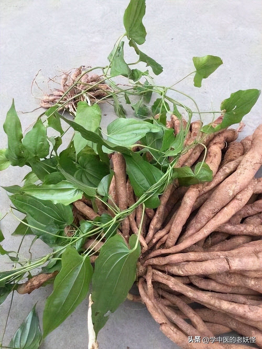 润肺止咳的汤品,润肺止咳的破壁机食谱