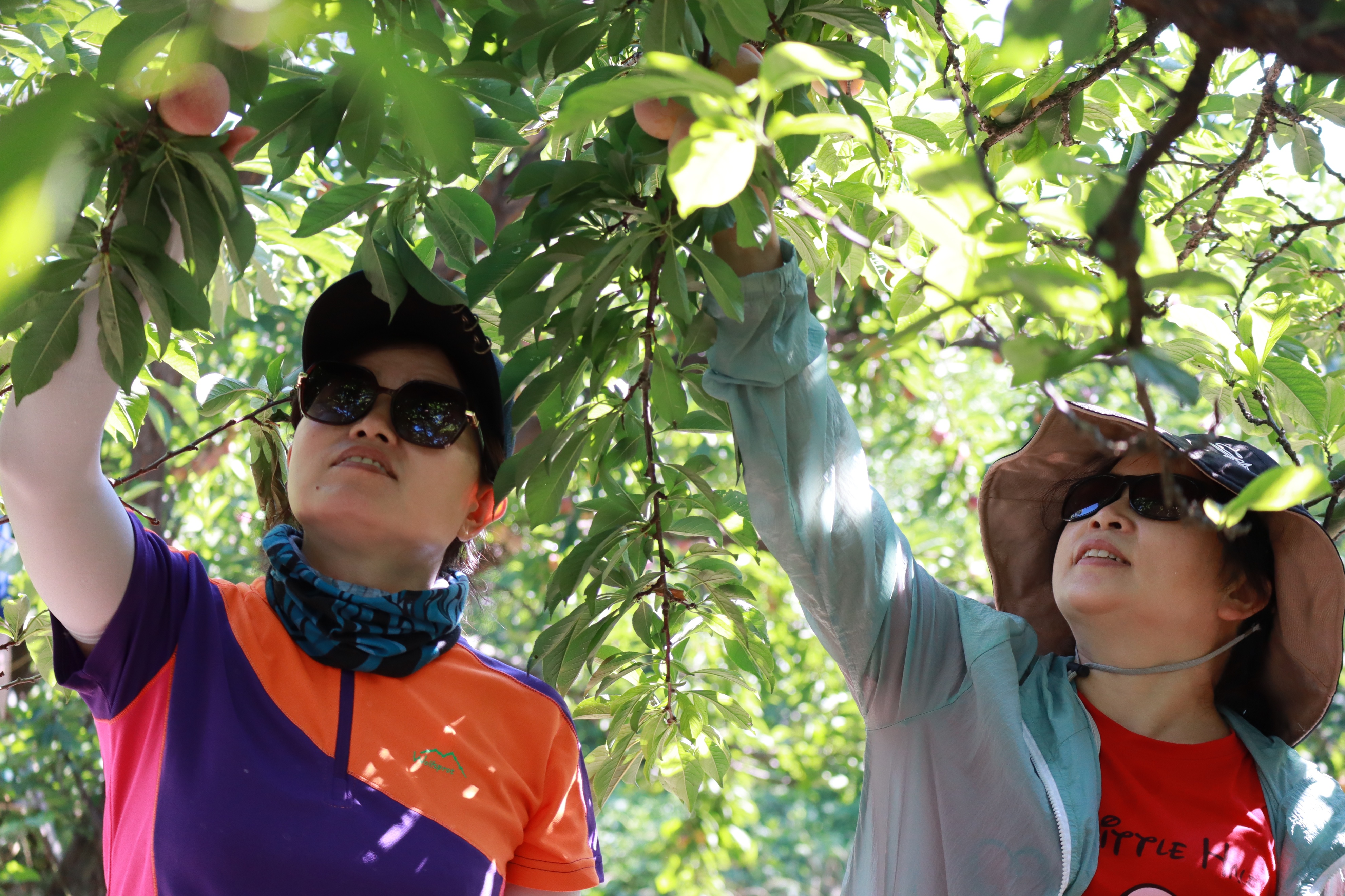 冬天天津周边徒步路线推荐,天津徒步旅游线路