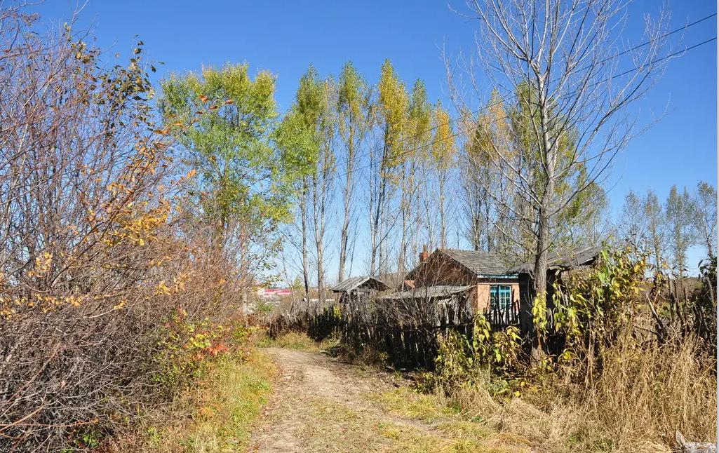 散文：一项有趣的晨练运动