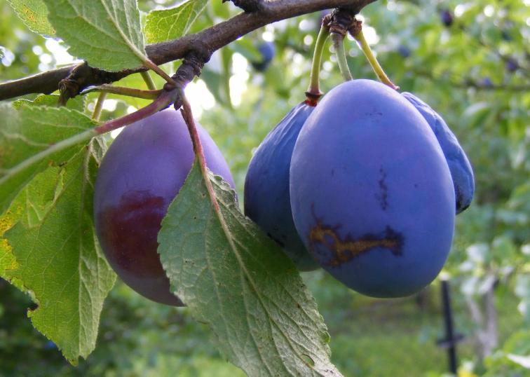 投资1万每天赚100,投资1万每天挣300的生意