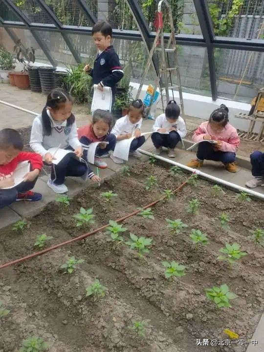 北京上地实验学校2018,北京市上地实验学校