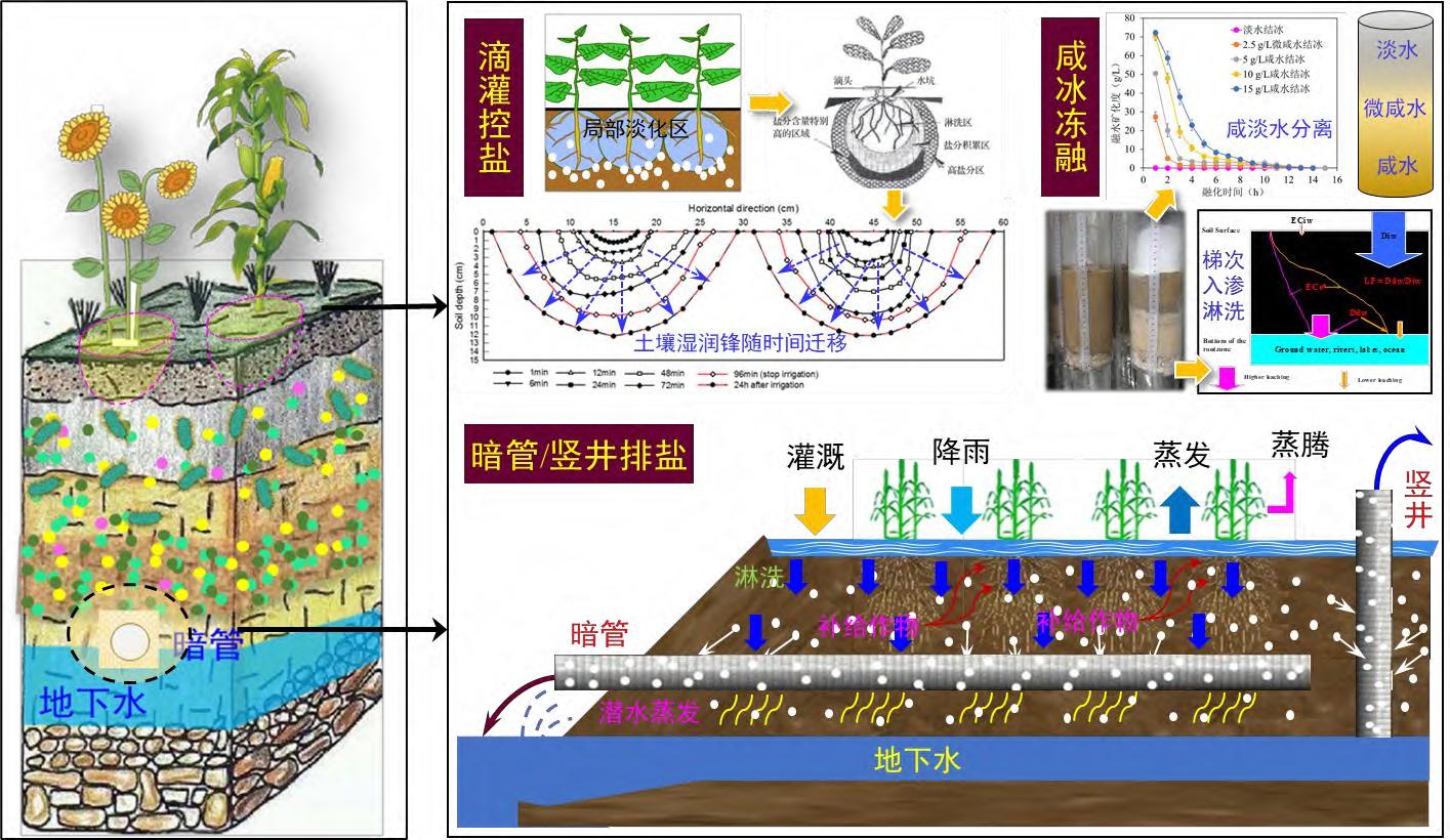 盐渍土的工程特性与危害,盐渍土总结
