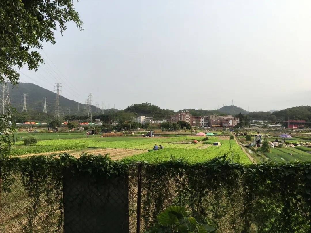 旭光车行雅迪电动车,旭光单车