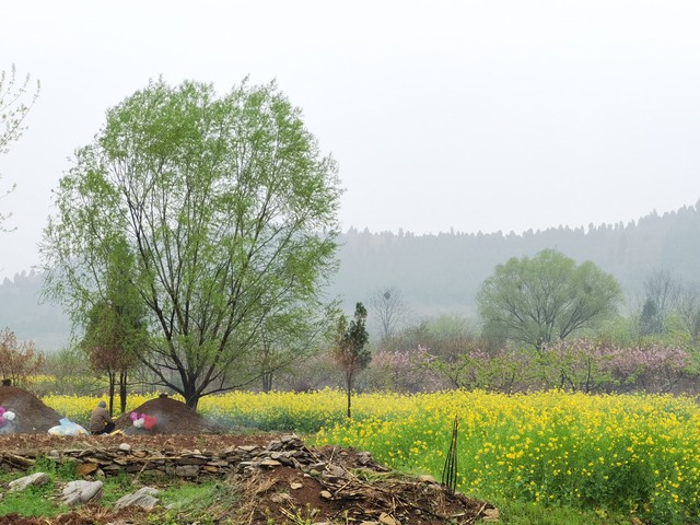 坟上有洞有什么寓意,老祖宗坟墓有洞预示着什么