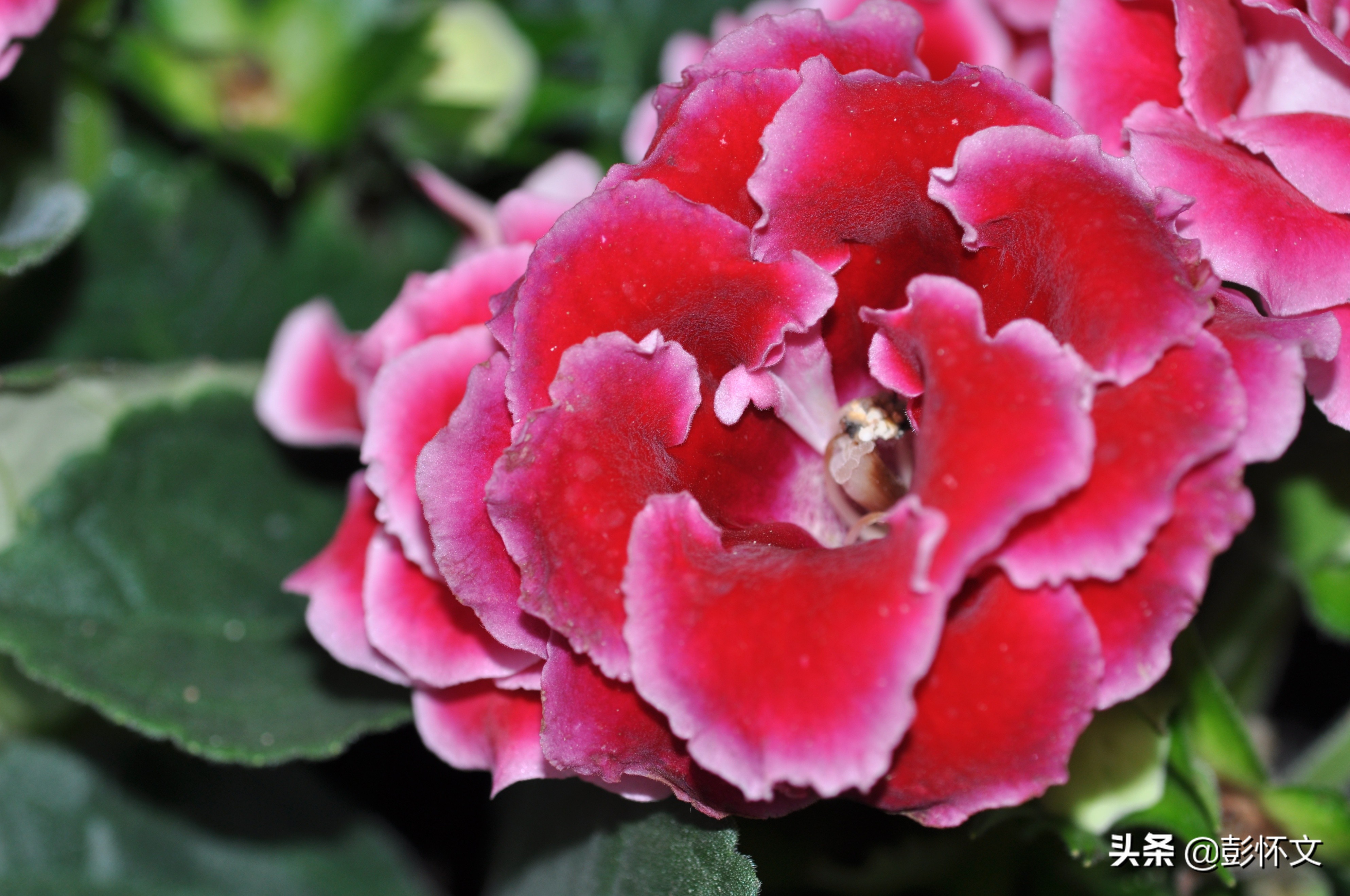 财税实务问题解答九则,财税实务问题及答案