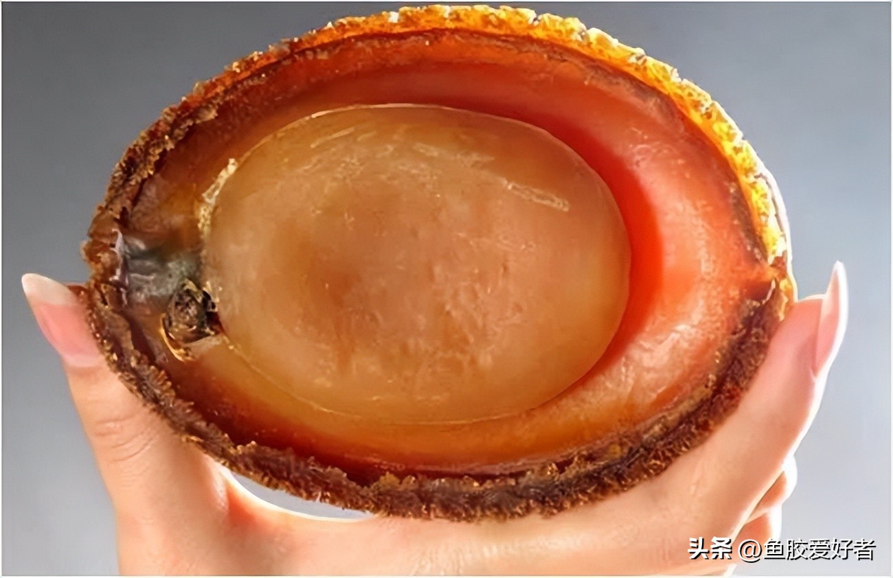 干鲍质量好怎样挑选,干鲍怎么选择