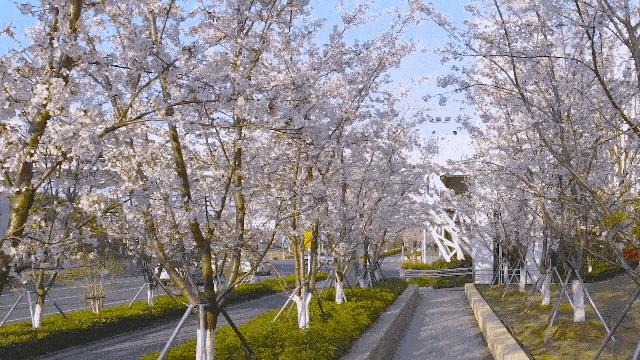 苏州京杭大运河健身步道,苏州环古城健身步道图