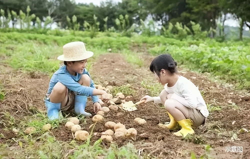 wow游乐场,wow里面最好玩的地方