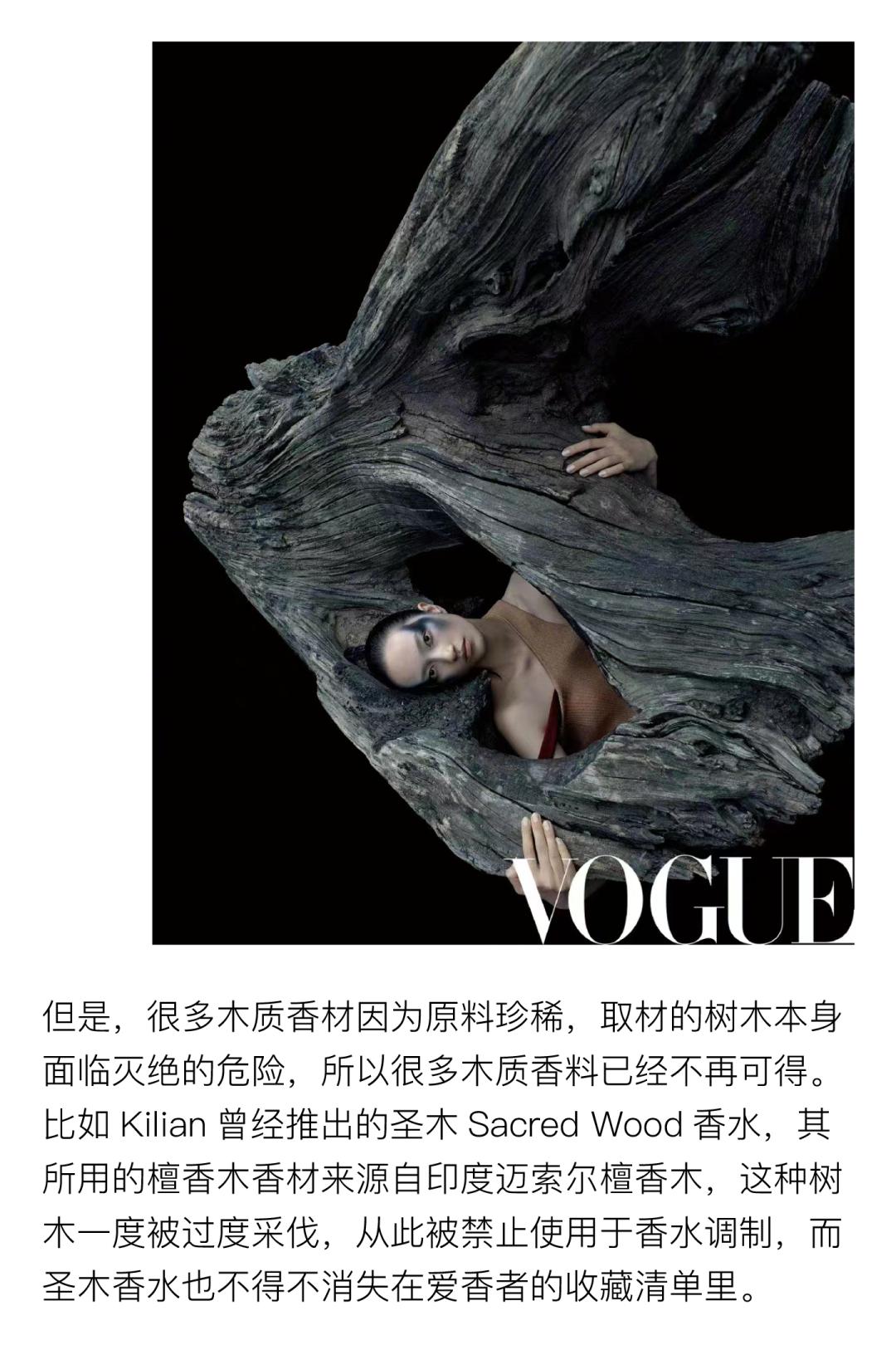 coco李玟不潮不用花钱是哪一期,coco李玟对人生的态度