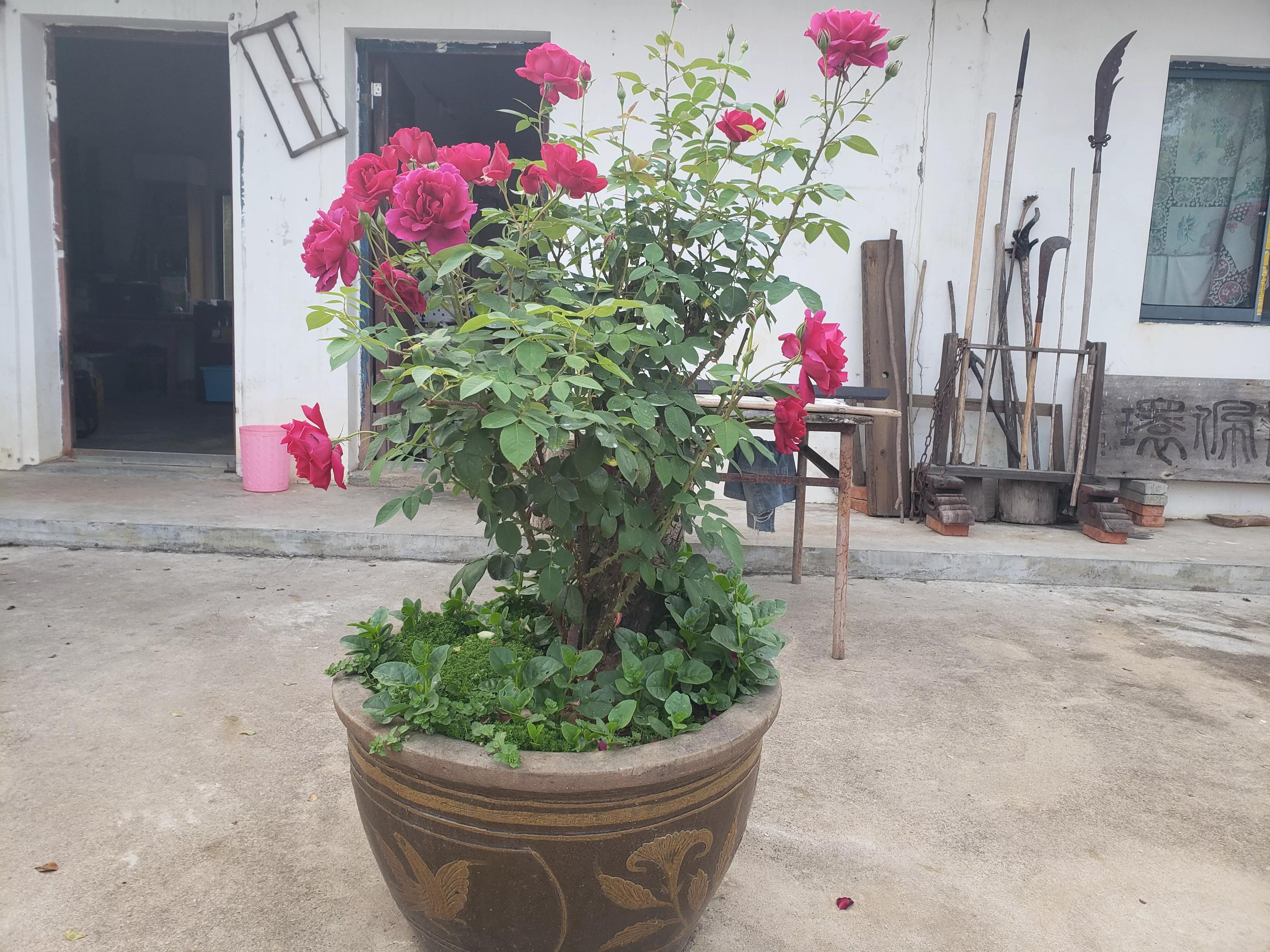 他不仅仅是古琴大师,他还是画家、篆刻家、书法家,二