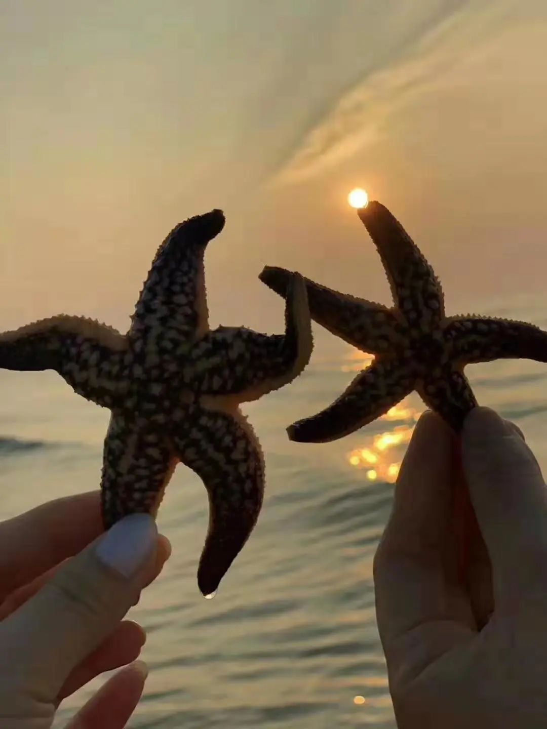 月岛旅游攻略一日游,月岛旅游攻略大全