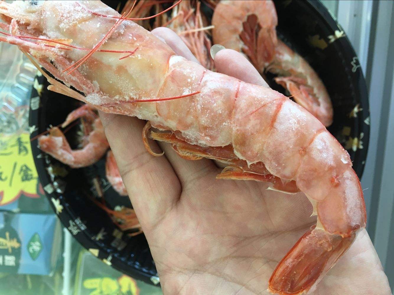 华厨联盟：国内近期生鲜情况与阿根廷红虾冷链运输