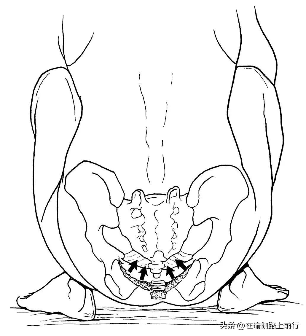 孕产瑜伽品牌,孕产瑜伽普拉提教练培训