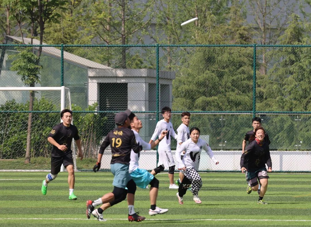 足球场和飞盘冲突,足球场禁止飞盘和狗入内