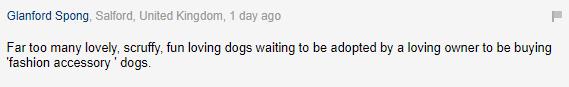 巴哥犬应该被开除犬籍？人类眼中的萌点，其实是它们的病痛