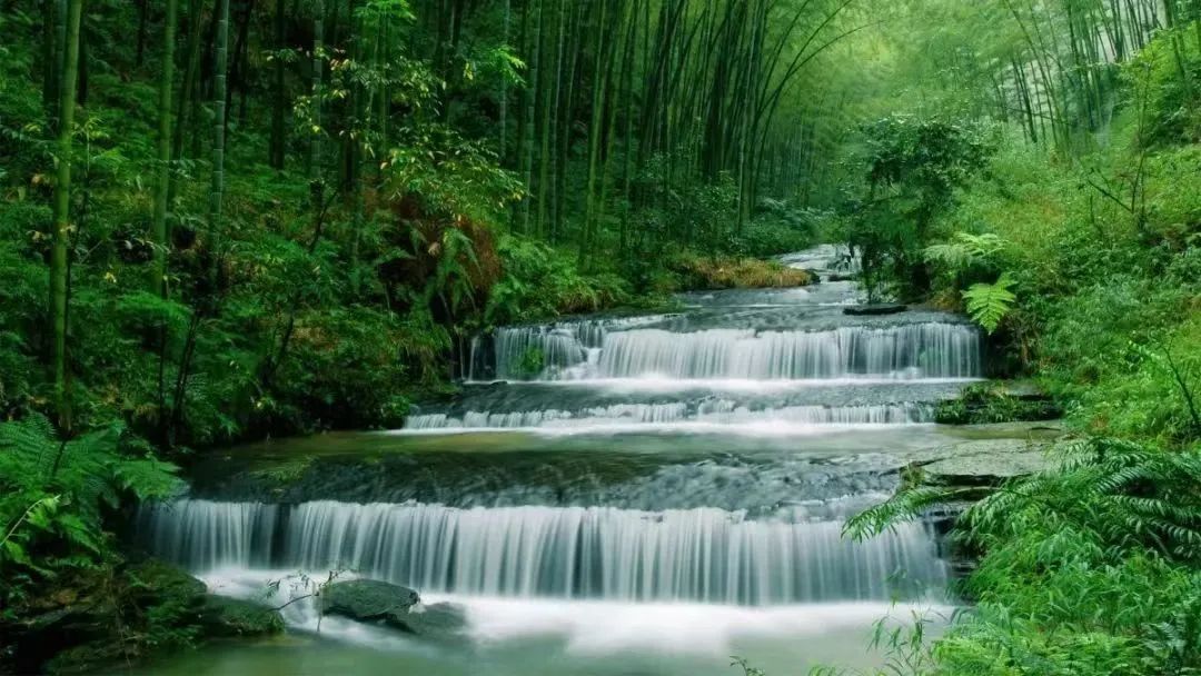 逛吃逛吃逛吃，跟着动车出发3.0