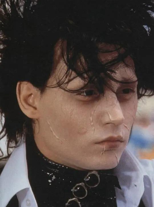 剪刀手爱德华色彩审美分析,剪刀手爱德华警察为什么要放走他