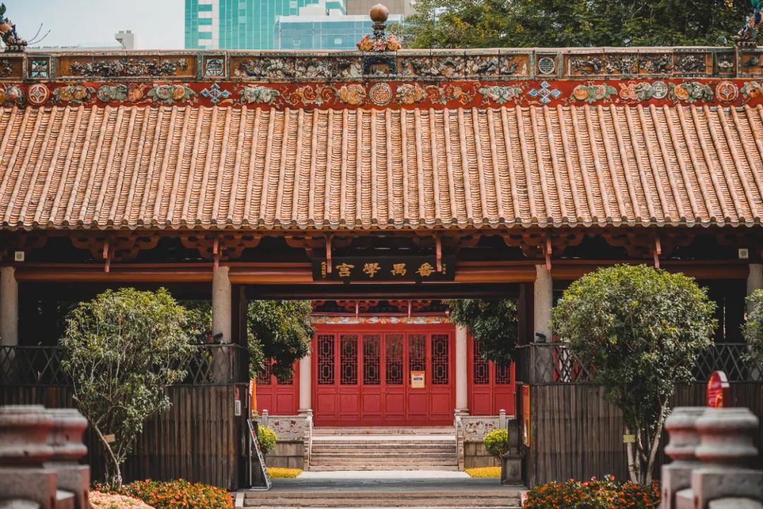 广州这条路，治好了我的审美疲劳