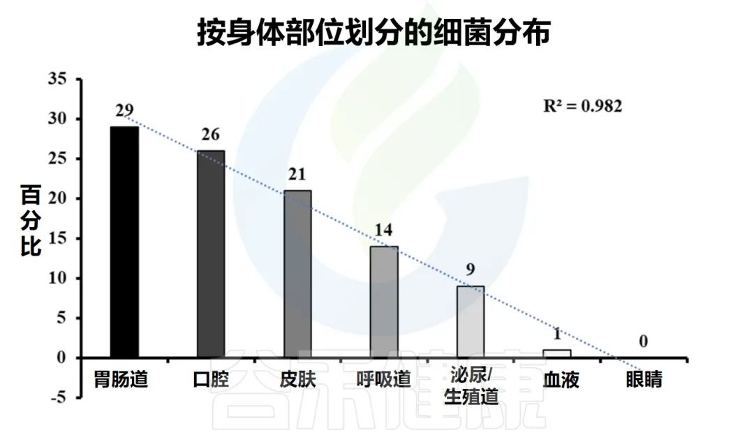 人体微生物分布于哪些位置,与人体共生的微生物