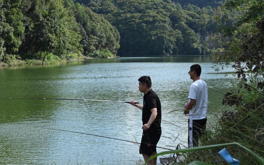 刘松松鱼竿推荐,刘松松7.2米鱼竿