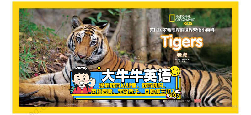 Tigers3~6岁英语启蒙绘本
