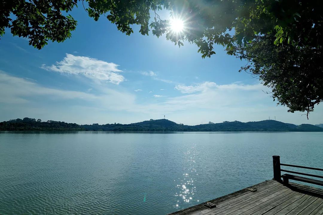 广州鹤之洲湿地公园游玩攻略简介,增城凤凰古城一日游最佳去处