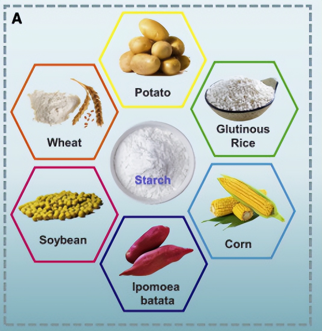 淀粉凝胶电解质用于高性能柔性锌空气电池的可行性研究