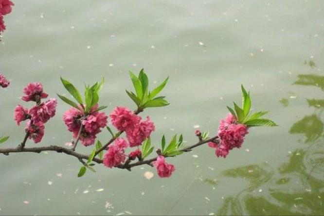 写雨名句古诗词欣赏