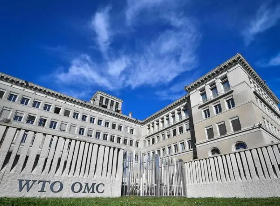 中美WTO交锋，台当局刷存在感，要求以“国家”身份加入争端磋商