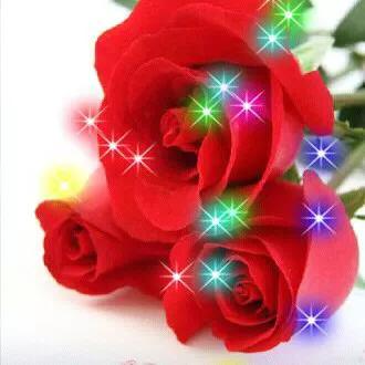 分享一束花图片,分享照片愿你遇到的都是美好