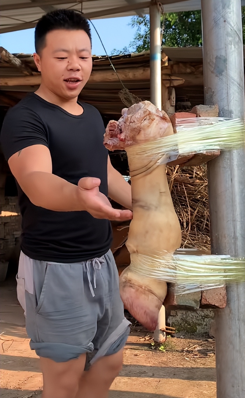 通背拳传人张伟丽,张伟丽拜访中国通背拳传承人