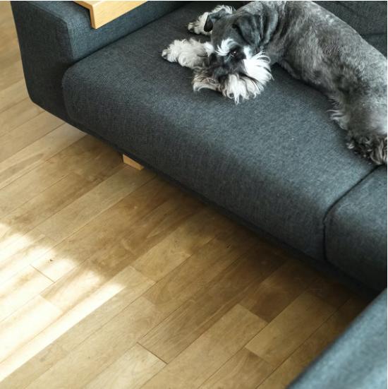 日本家庭主妇的规律生活,日本主妇断舍离视频