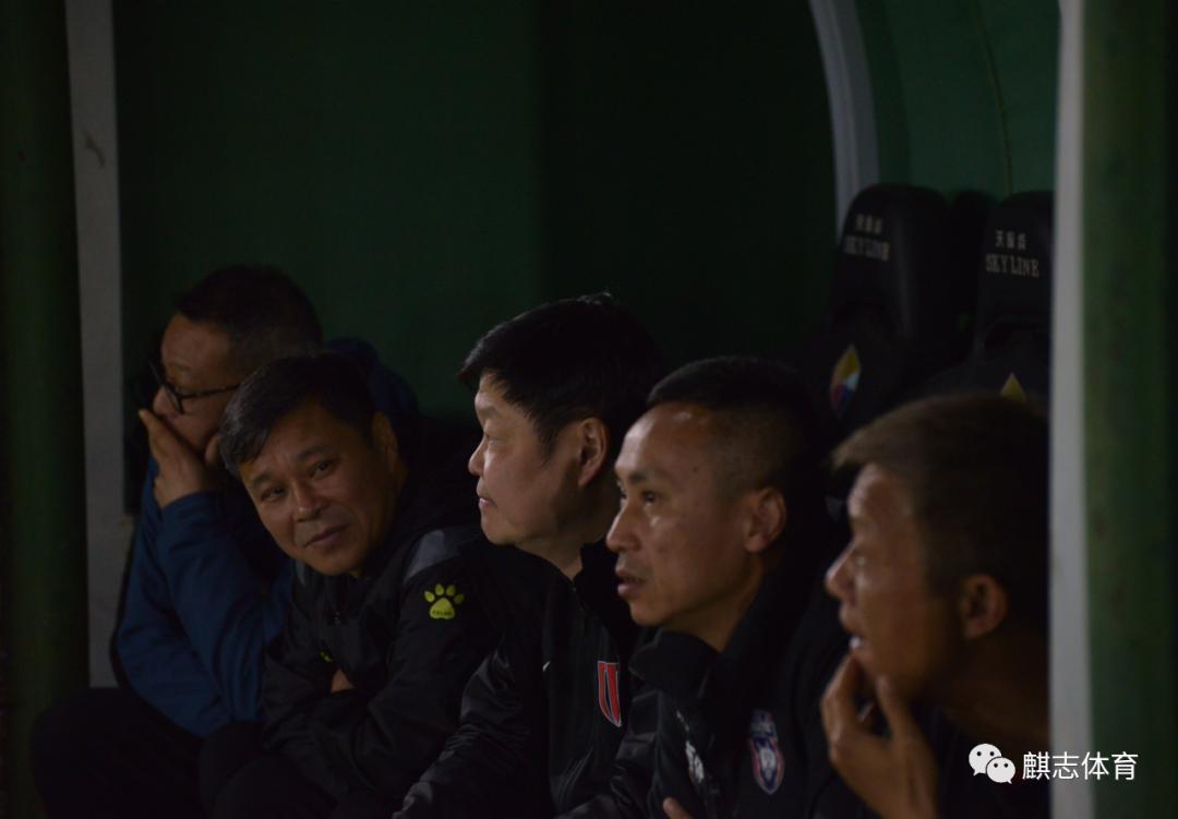 本是同根生结局解析,本是同根生愿结连理枝