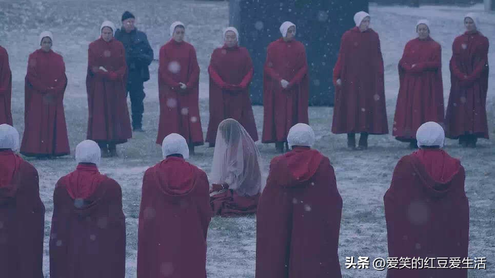 携带孕妇血液样本出境被查,福建海关查获孕妇血液样本