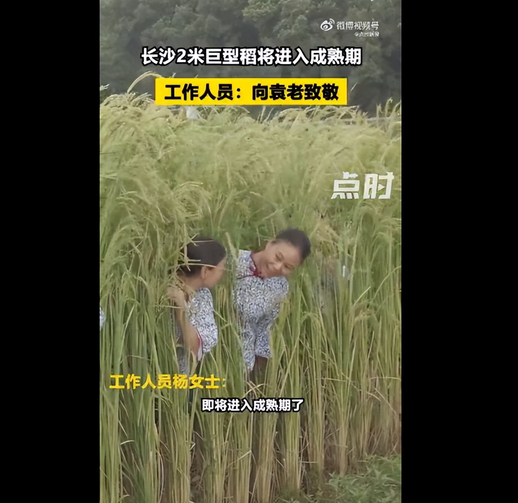 河南多地发布紧急提醒/河南一地全镇被划为高风险区/高燃视频来了，中俄海军日本海炮击演练