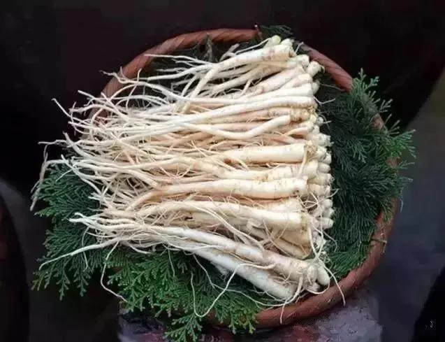 网购人参有什么坑,淘宝卖几十块的人参靠谱吗